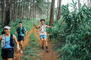 BIB: 
                            <button type="button" onclick="openModal(25660568)" class="btn btn-primary btn-sm float-right btn-popup" data-toggle="modal" data-target=".modal-high-quality">
                        <i class="fas fa-shopping-cart"></i> Add to Cart
                    </button>
                                            <button type="button" onclick="isThisMe(25660568, true)" class="btn btn-success btn-sm float-right btn-popup btn-isme hidden" data-toggle="tooltip" data-placement="bottom" title="นี่คือรูปของคุณใช่ไหม คลิกที่นี่เพื่อเอาเข้าอัลบั้ม">
                        <i class="fas fa-plus"></i> Add to album
                    </button>
                    <button type="button" onclick="isThisMe(25660568, false)" class="btn btn-warning btn-sm float-right btn-popup btn-isnotme hidden">
                        <i class="fas fa-ban"></i> Remove from album
                    </button>